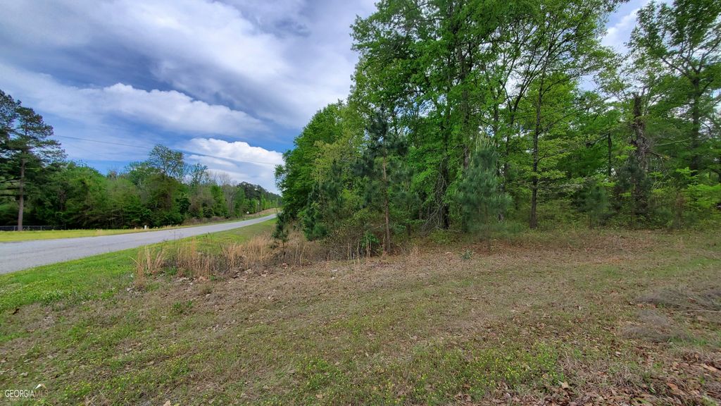Photo of 0 Meeks Road, Rentz, GA 31075 (MLS # 10754675)