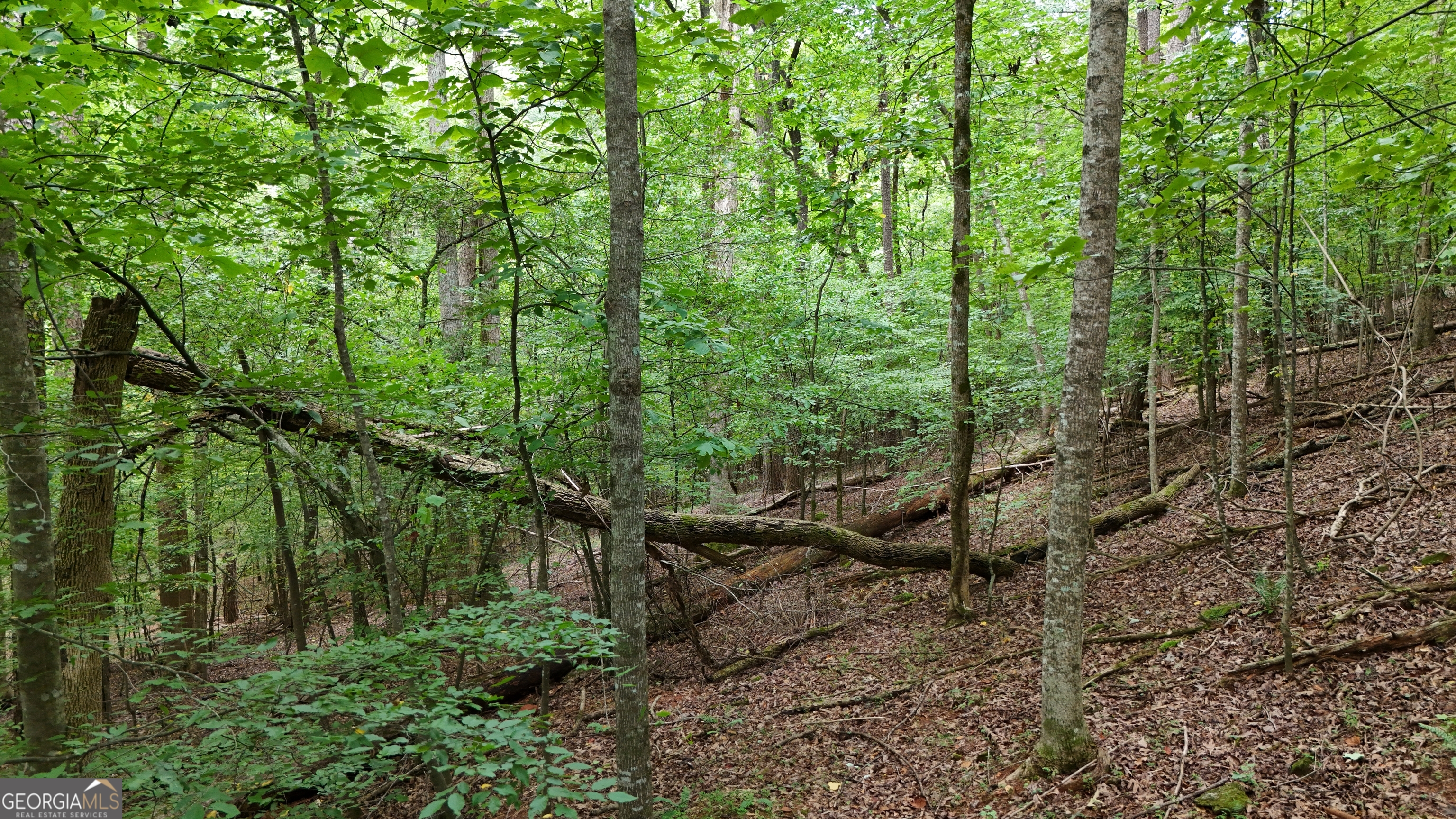 Great location for your forever home or weekend getaway! This cul-de-sac lot in the sought-after Cedar Hollow subdivision offers a seasonal lake view and an ideal basement lot for your building plans. Enjoy privacy and seclusion while still being just a short drive to shopping, schools, and restaurants. Don't let this opportunity pass you by!