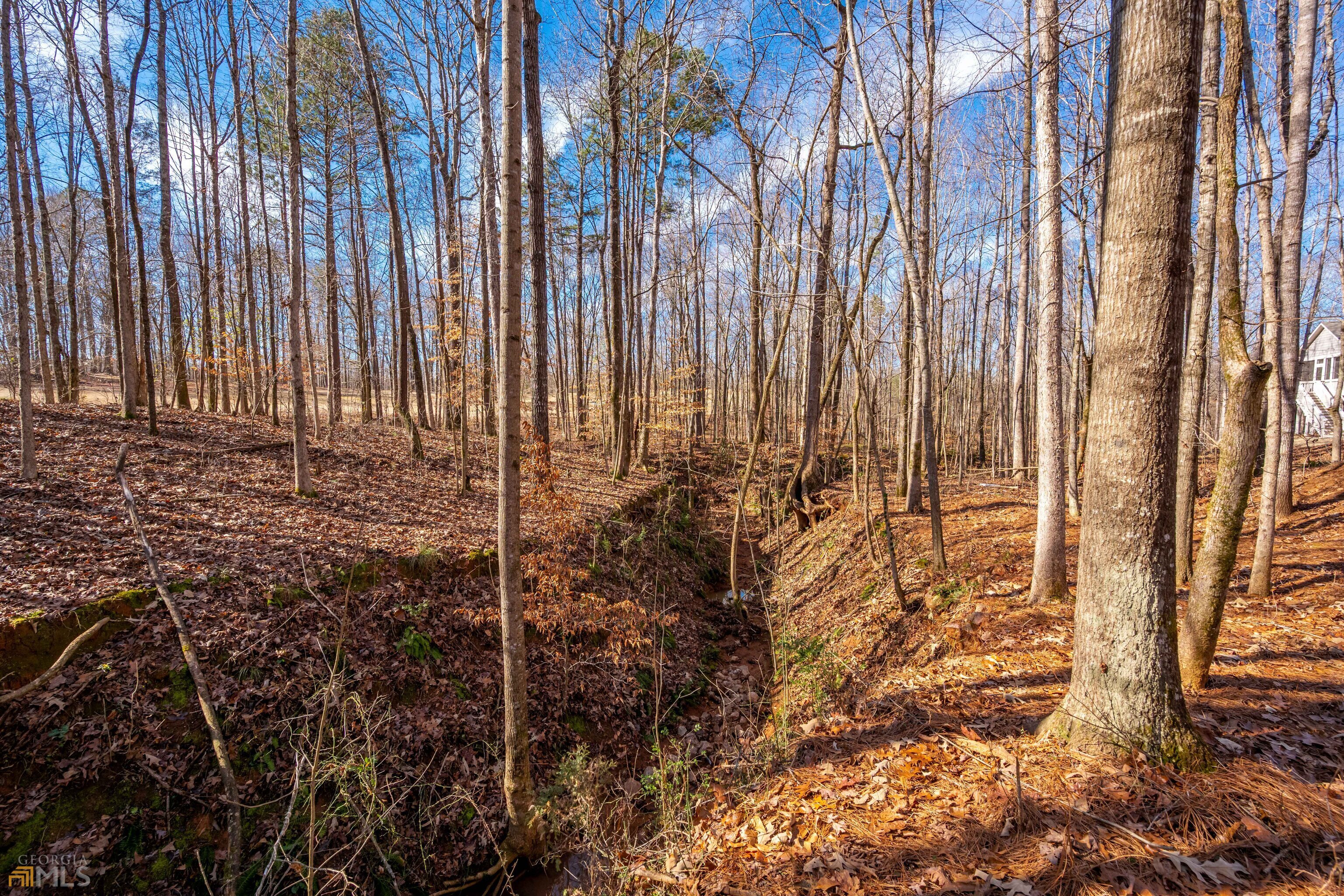 Traditions of Braselton - Residential