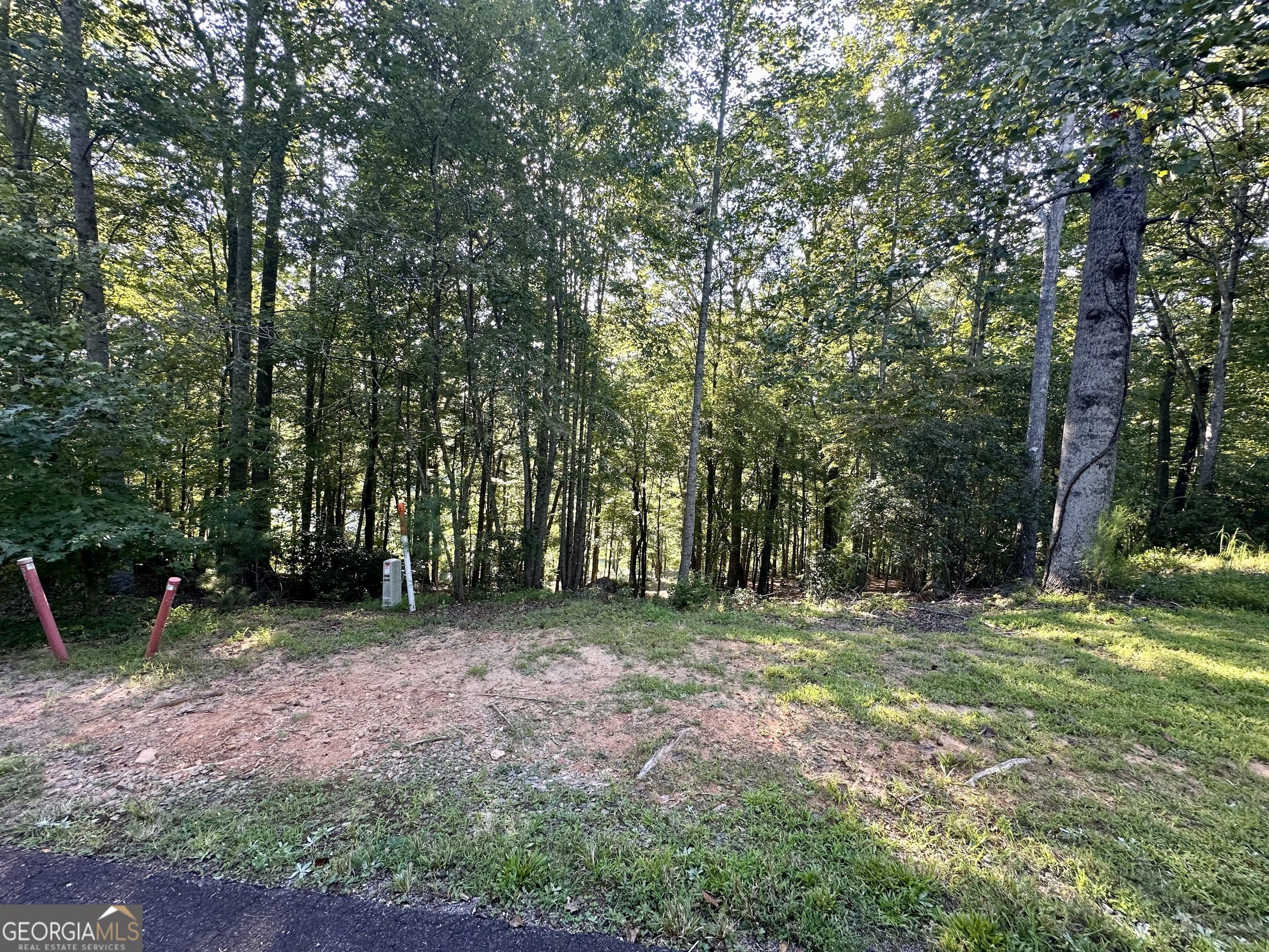 0 Forked Leaf RD 29