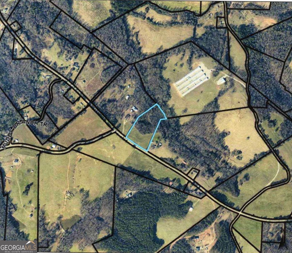 Photo of 0 Muddy Branch Road, Canon, GA 30520 (MLS # 10765738)