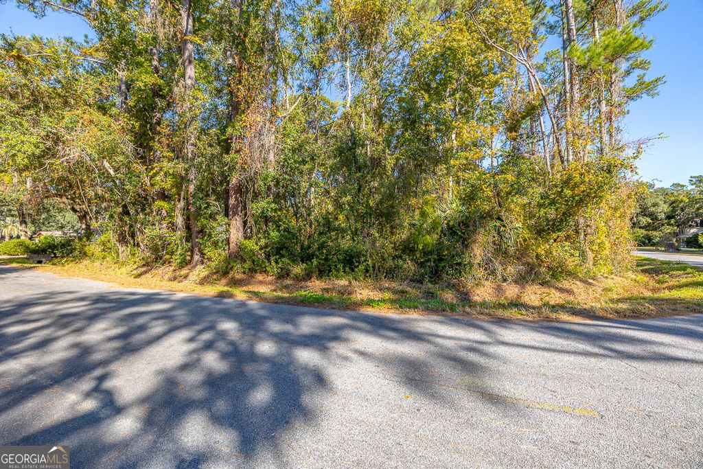Photo of 133 Helmich Drive, Brunswick, GA 31525 (MLS # 10766233)