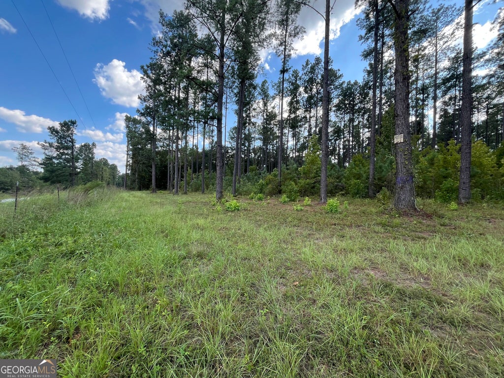 Photo of 0 Mark Wood Rd. Lot 3, Dexter, GA 31019 (MLS # 10847498)