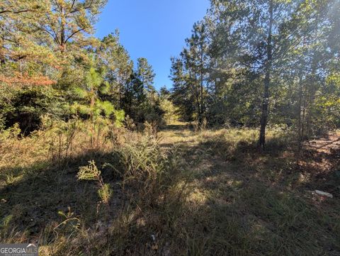 1300 South Palm ST Jesup GA 31546