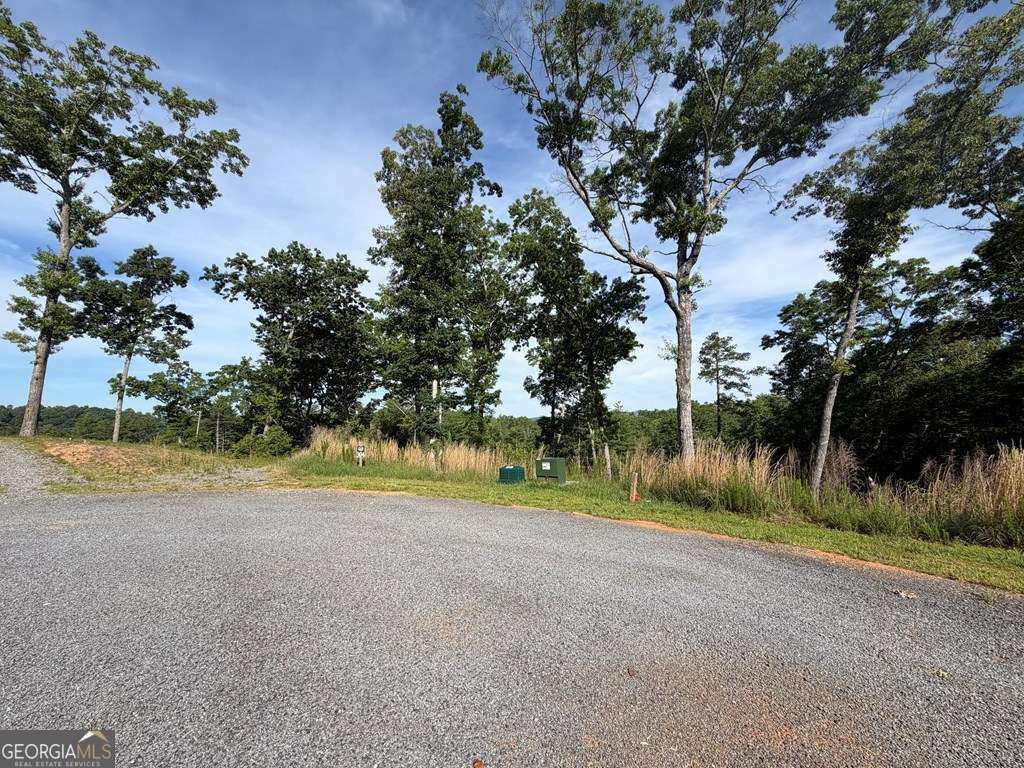 Photo of 304 Greenwood Court #304, Ellijay, GA 30540 (MLS # 10780216)