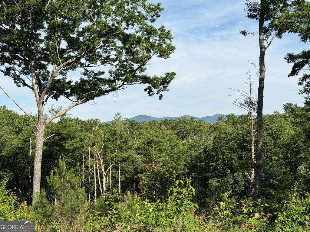 Photo of 304 Greenwood Court #304, Ellijay, GA 30540 (MLS # 10780216)