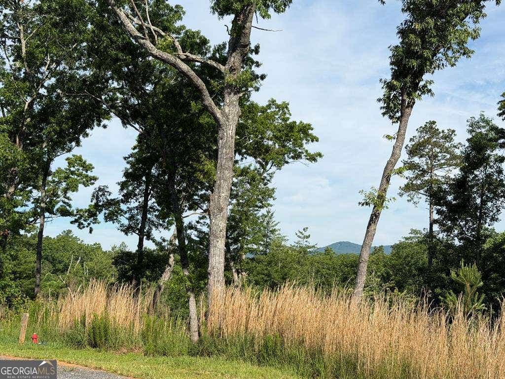 Photo of 304 Greenwood Court #304, Ellijay, GA 30540 (MLS # 10780216)
