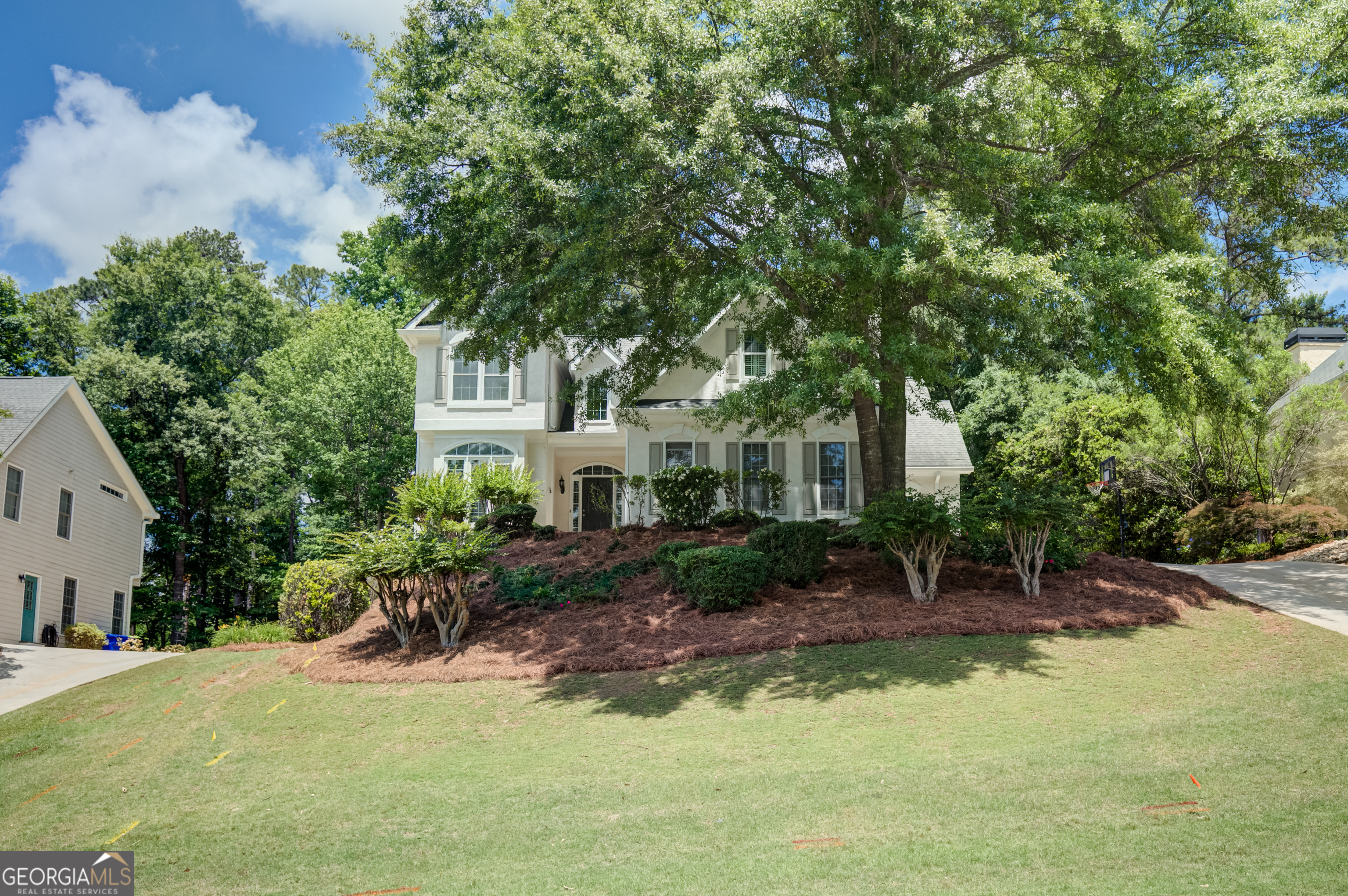 512 Terra Verte