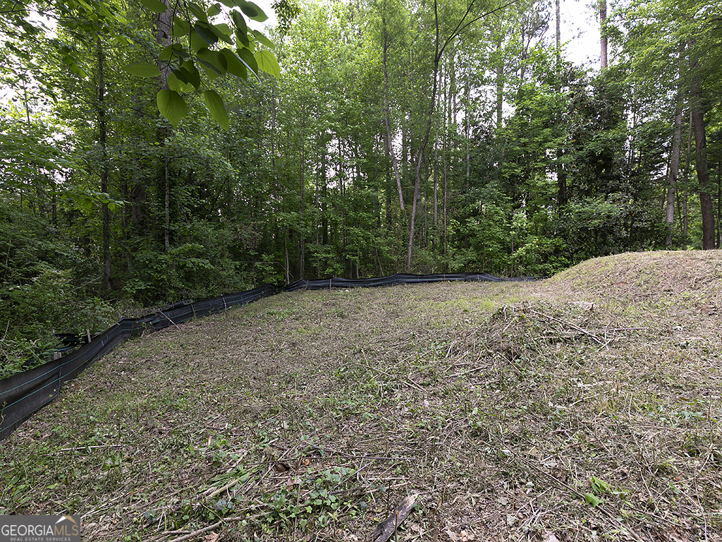 Homesite - Land