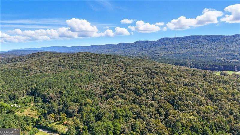This property has amazing mountain views and surrounded by other large tracts of land for complete privacy! Build your dream home on this quiet, rural setting in Chattooga County. Maddox Lake Rd is paved with very minimal traffic, however close to the convenience of downtown Summerville. Build, hunt, sale timber, hold for investment, the possibilities are endless.