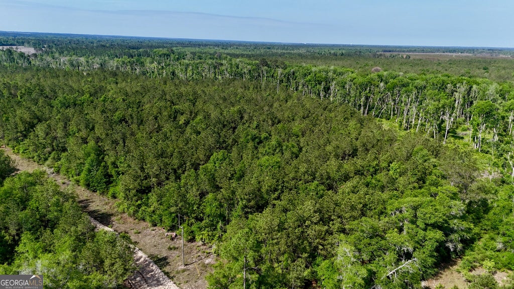 Photo of 3 Tillman Cemetery Road, Lumber City, GA 31549 (MLS # 10825629)