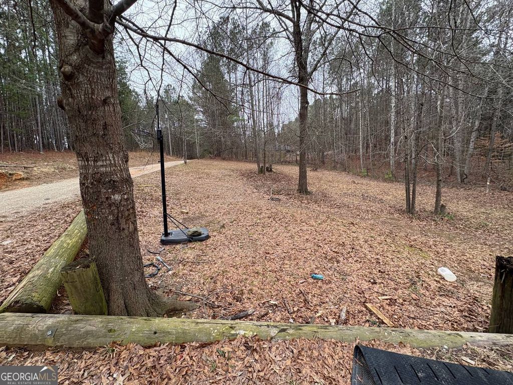 Photo of 798 Williamson Road, Tallapoosa, GA 30176 (MLS # 10679193)