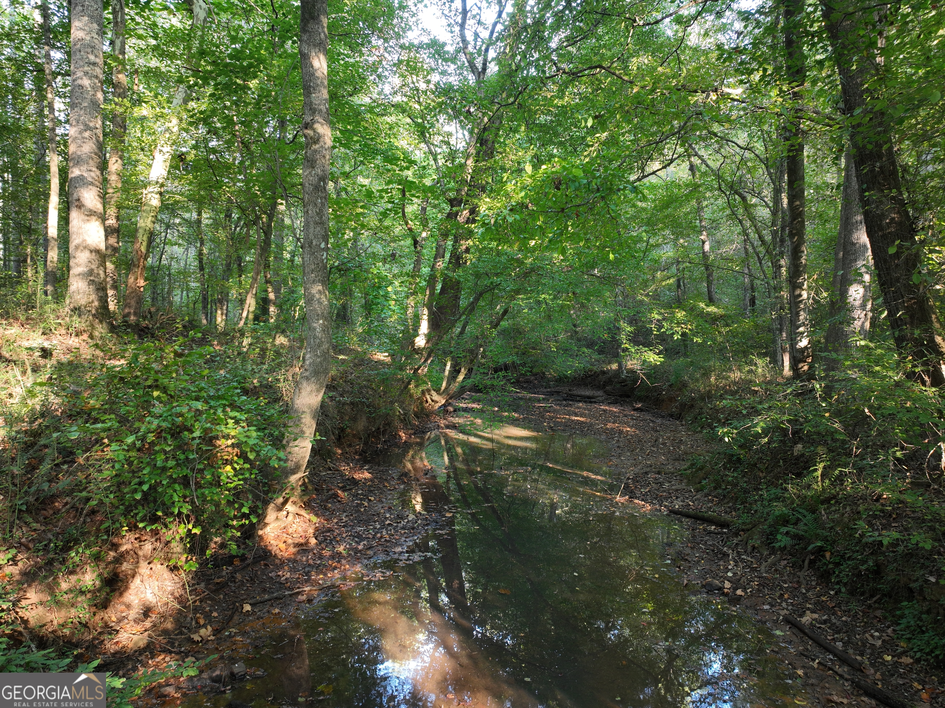Escape to your own slice of nature on Shady Grove Road with this beautiful 10-acre property! Wooded and full of wildlife, this land offers privacy, peace, and the perfect backdrop for your dream home. The highlight of the property is the property line bordered by the scenic Hendricks Creek - offering charm and natural character. Located just minutes from Downtown Carrollton, Lakeshore Park, and local shopping, you'll enjoy the convenience of town with the quiet seclusion of country living. Whether you're looking for a homesite, recreational land, or a private getaway, this property has endless potential. Bonus!! Neighboring properties with an additional 24 acres & 4.25 acres are also available - ideal for a family compound, or developers looking for more land. Seller is a licensed REALTOR in Georgia.