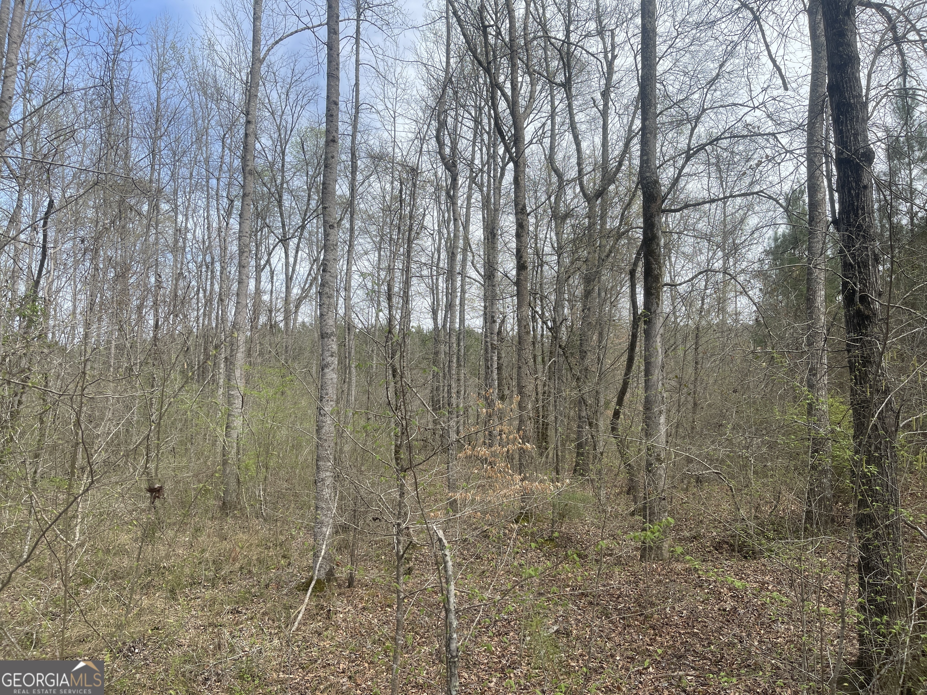 0 Bevis Rd Parcel 3