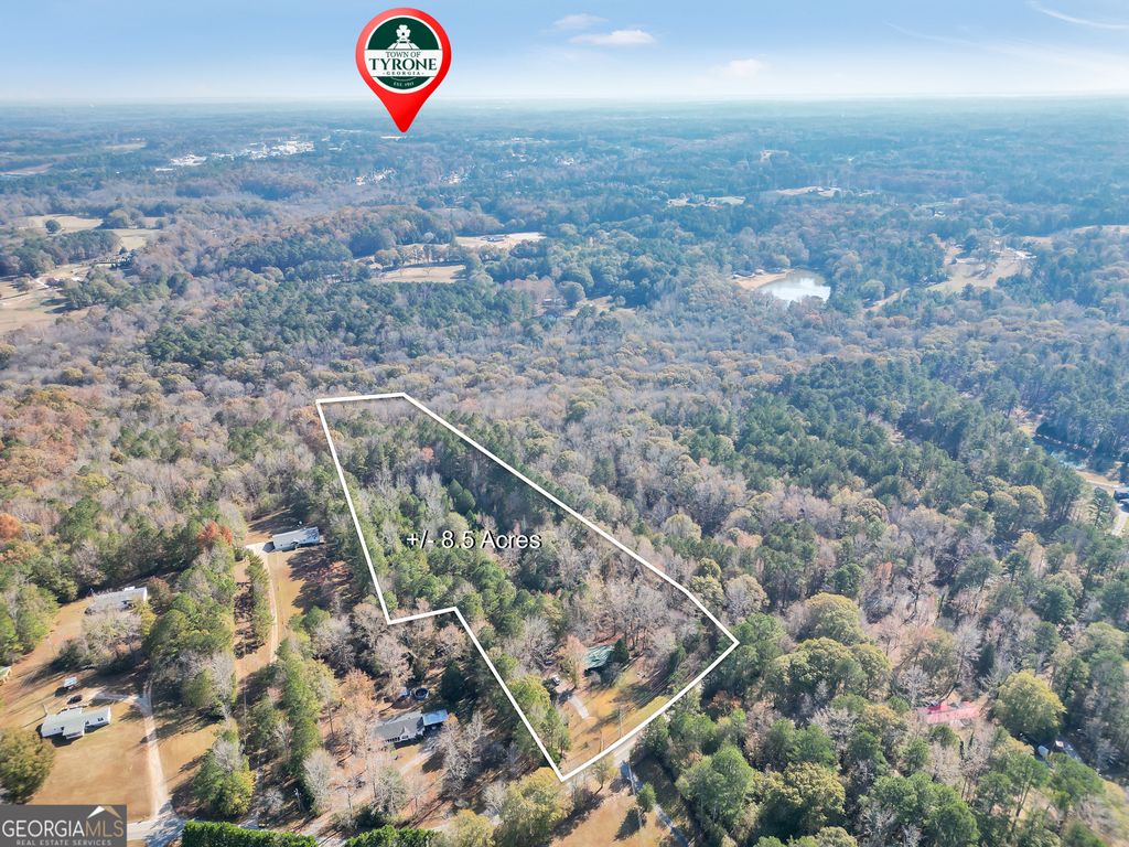 Photo of 195 Goodlin Road, Palmetto, GA 30268 (MLS # 10704496)