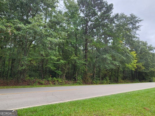 2090 LINTON RD, SPARTA, GA 31087 - Image 739fae7e9897a462dfb23bd43ee8b609/733792296