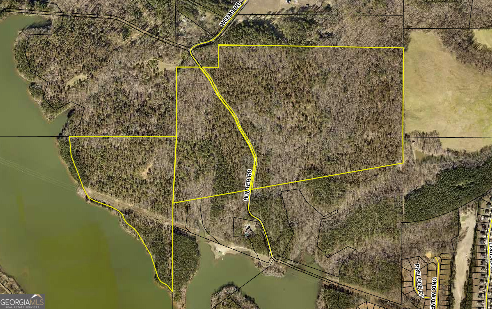 181 acres on Cole Reservoir. Hunter Road divides the property with 23 acres situated on the Cole Reservoir side and 158 acres directly on the other side. Cole Reservoir allows for recreational use (fishing, kayaking, canoeing, sailing) No power boats are allowed. Close proximity to I-75, shopping and restaurants! The two parcels included in this sale are: 060-01001000 and 061-01004000. Call your builder!