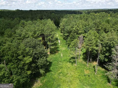 Photo of 111 Lillian Strong Road, Carlton, GA 30627 (MLS # 10822039)