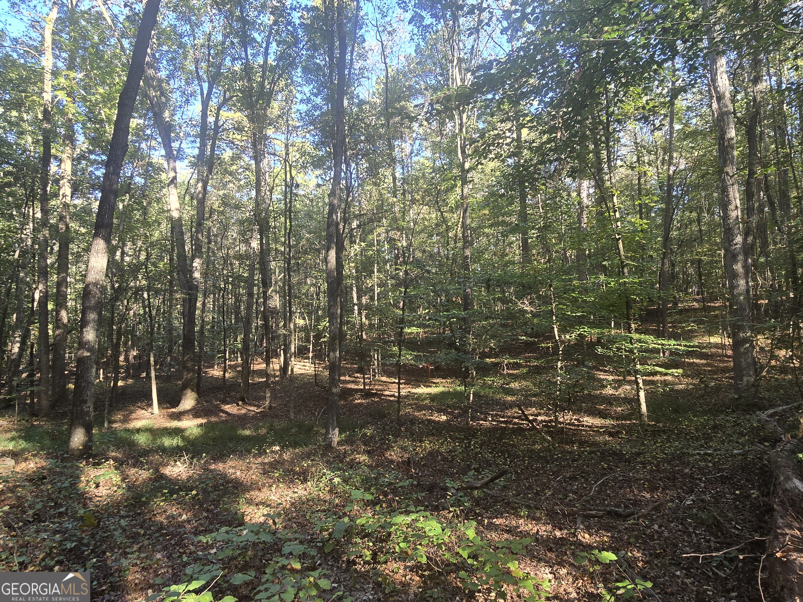 1504 Academy Church RD