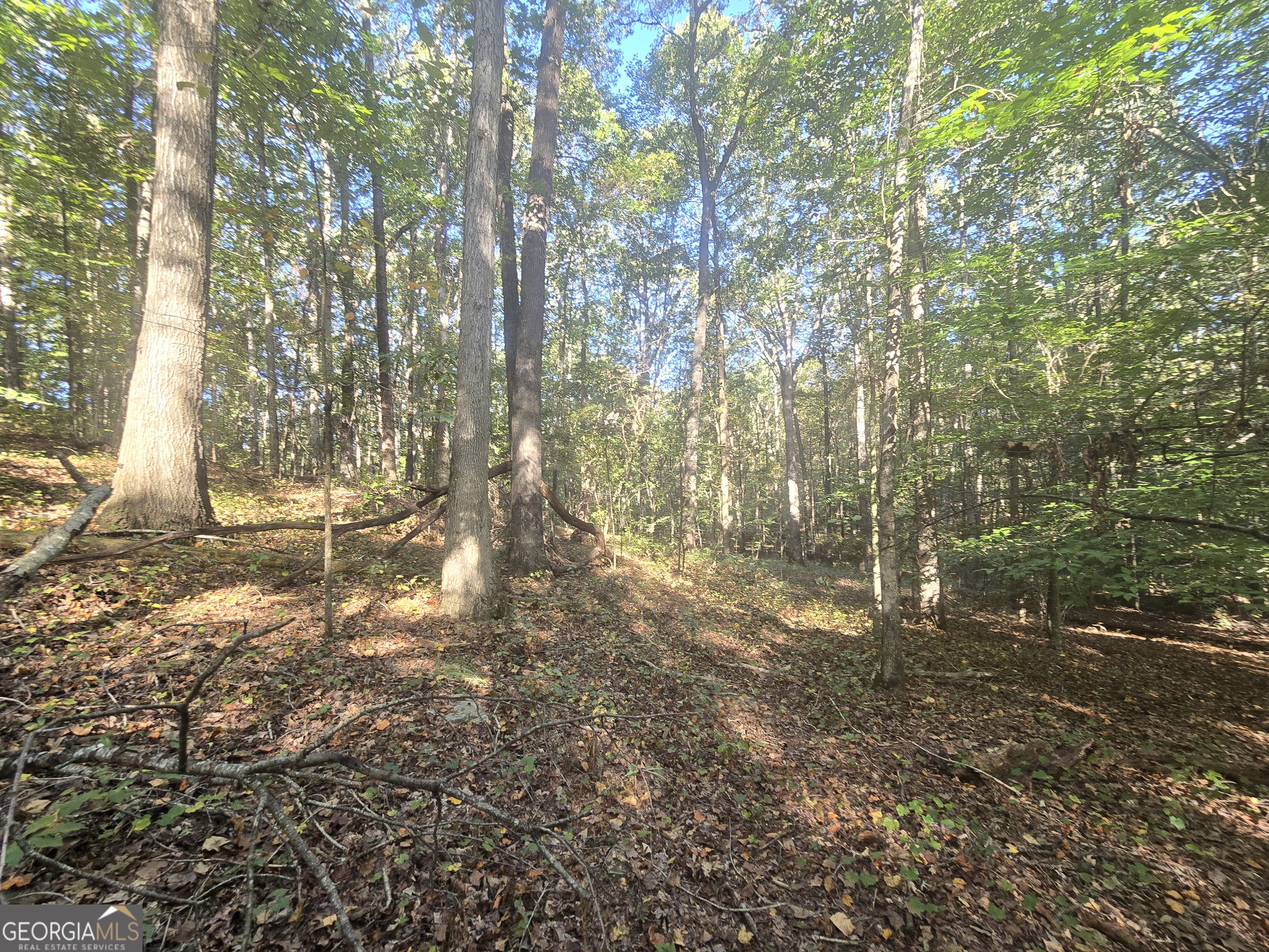 1504 Academy Church RD