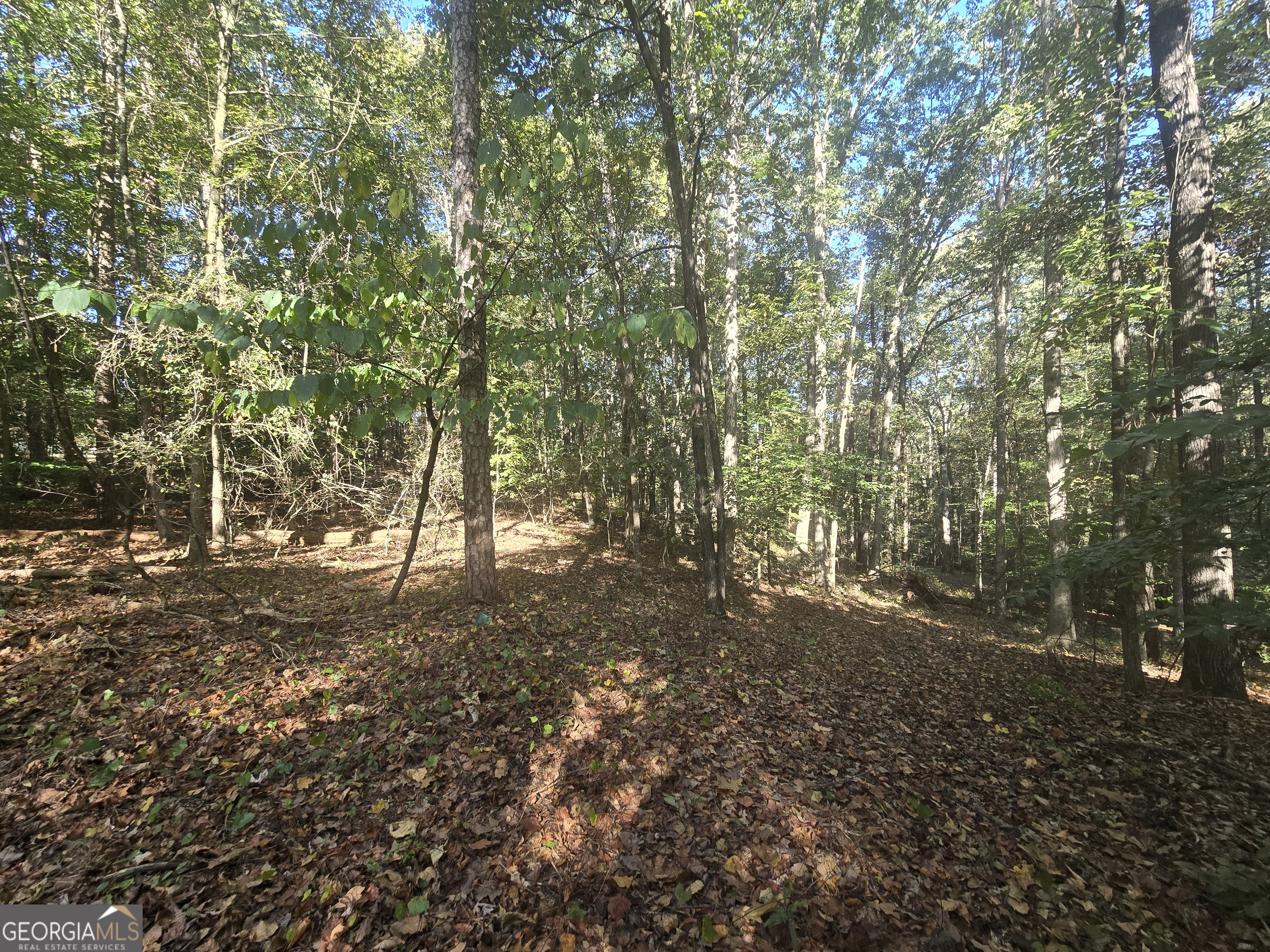 1504 Academy Church RD