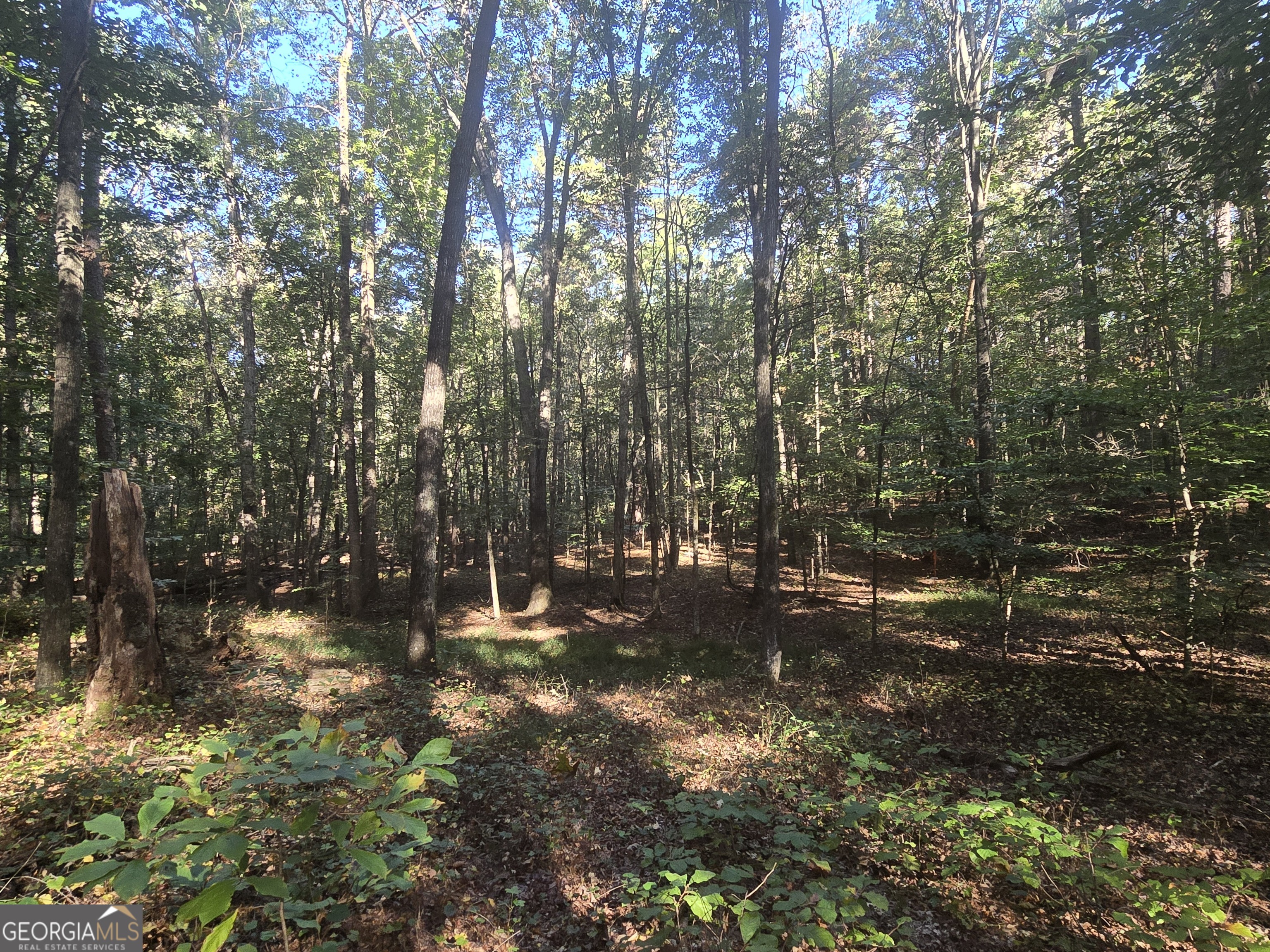 1504 Academy Church RD