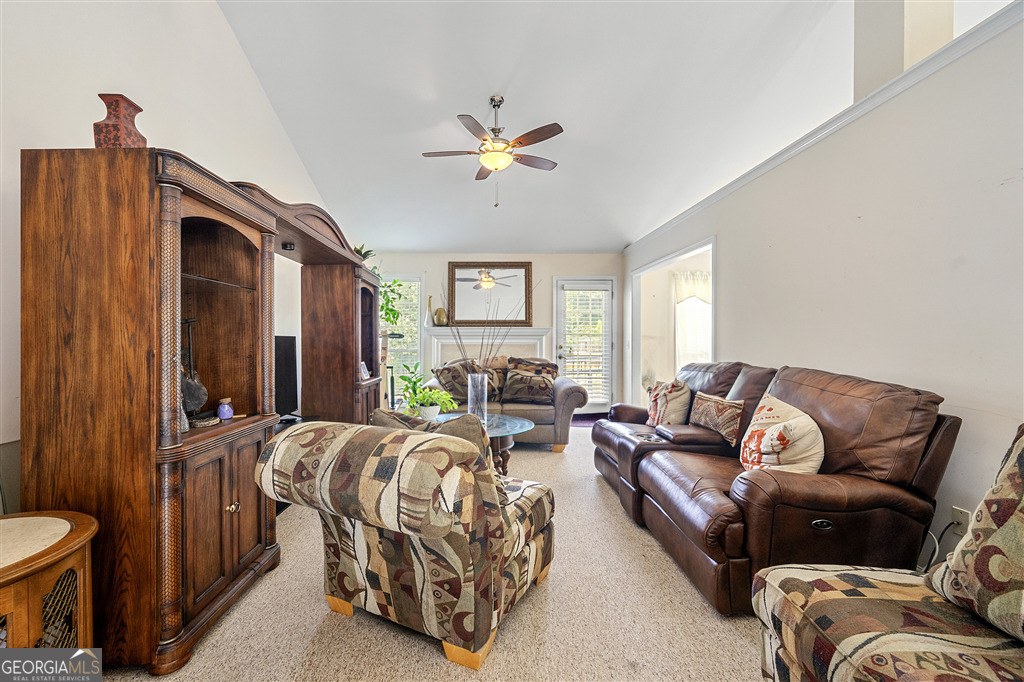 3485 Palisade Lake DR