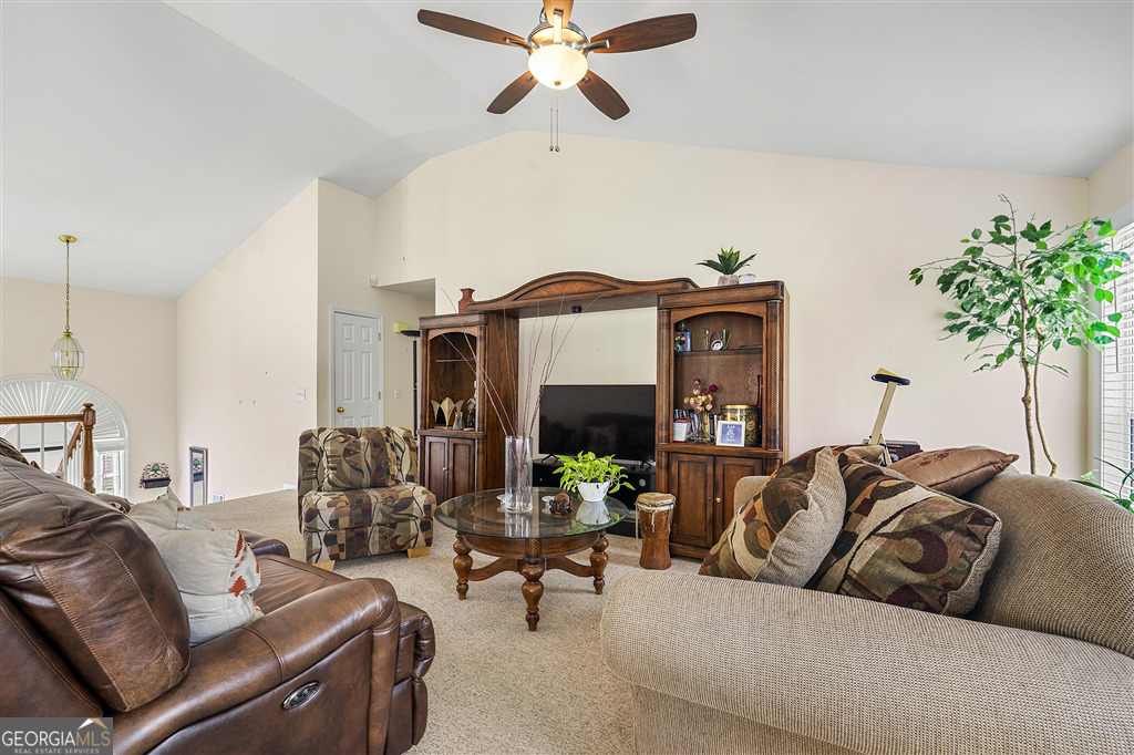 3485 Palisade Lake DR