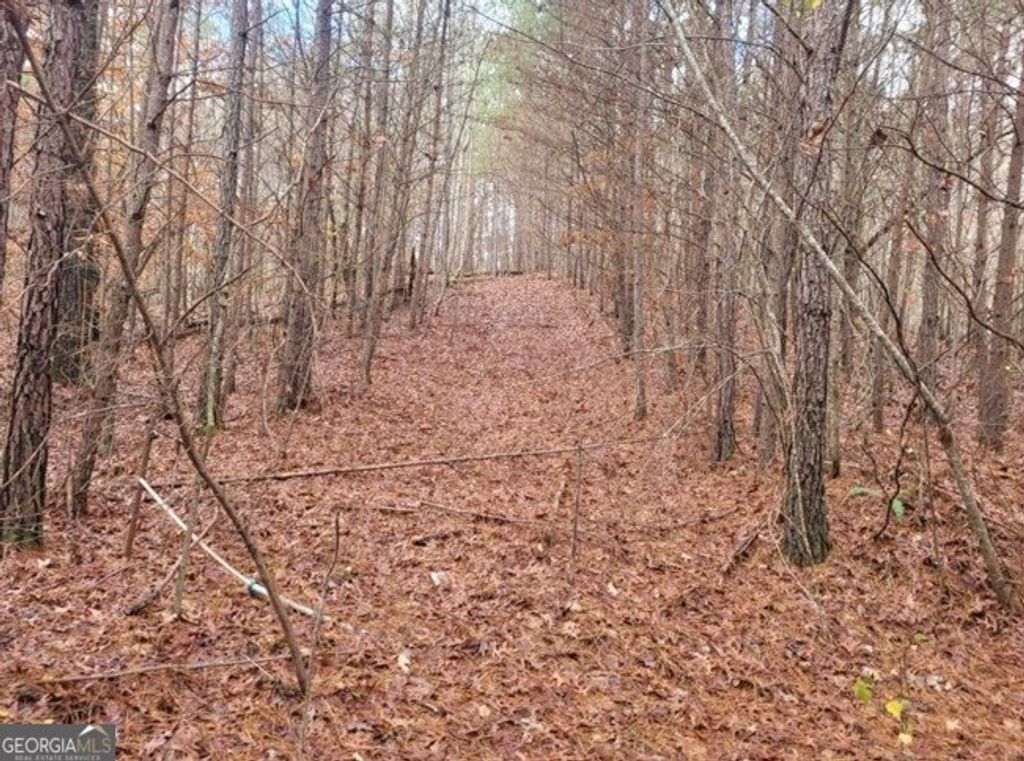 Photo of 1822 Talona Road, Ellijay, GA 30540 (MLS # 10706554)