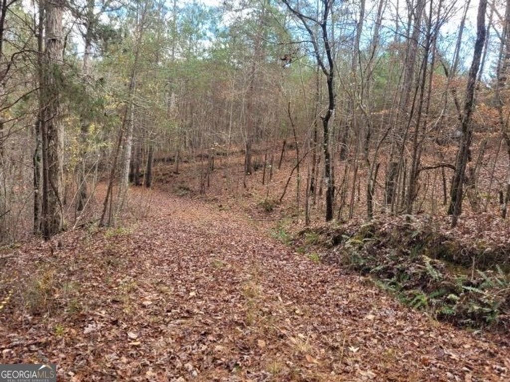 Photo of 1822 Talona Road, Ellijay, GA 30540 (MLS # 10706554)