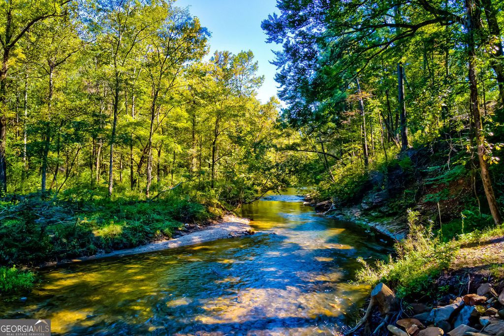 Photo of 380 Biguns Boulevard, Talking Rock, GA 30175 (MLS # 10736120)