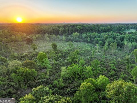 Photo of 0 Zebulon Road, Milner, GA 30257 (MLS # 10737459)