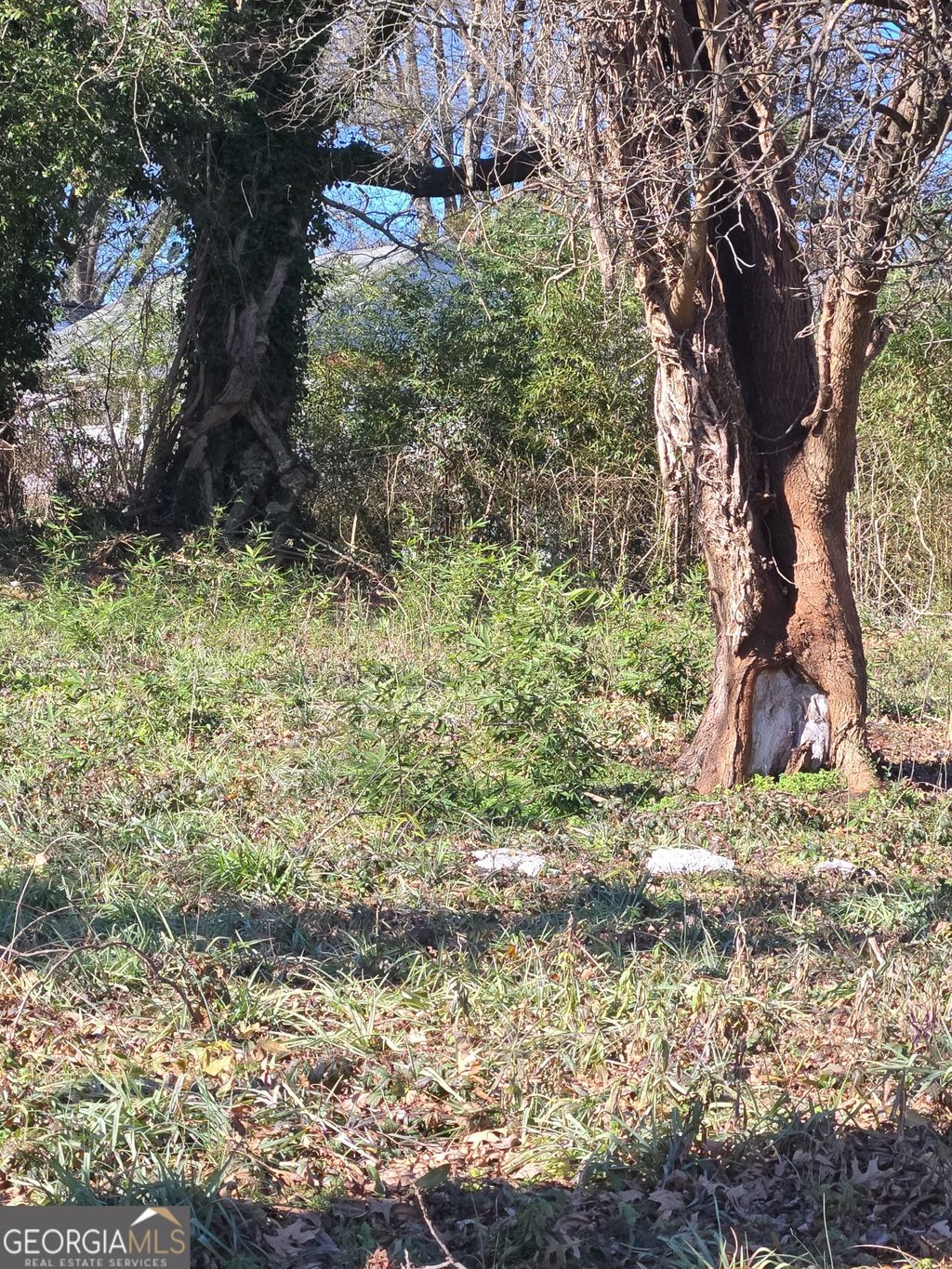 Photo of 0 Morris Brown Drive SW, Atlanta, GA 30314 (MLS # 10687344)