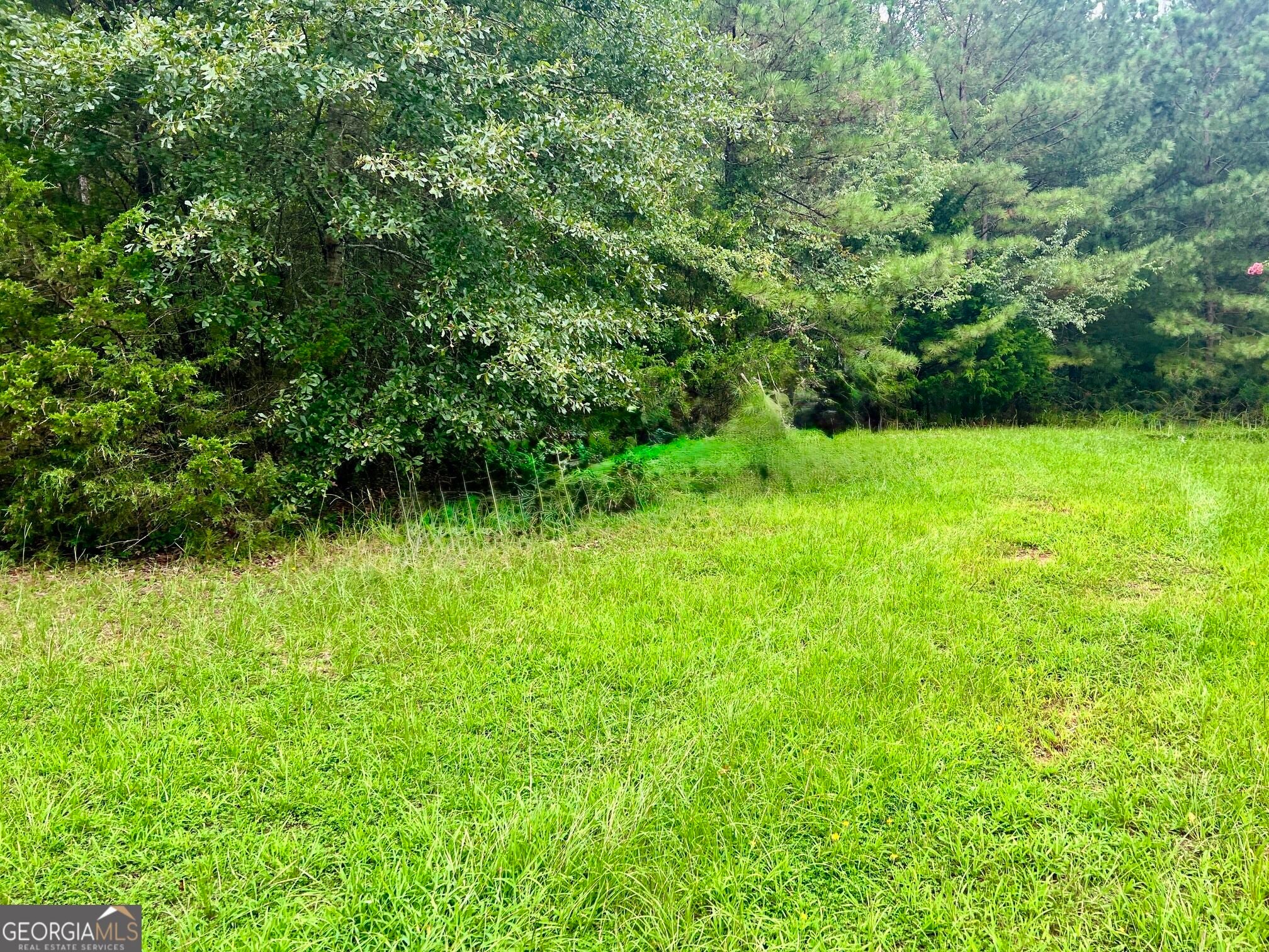 1383 Sims RD SE