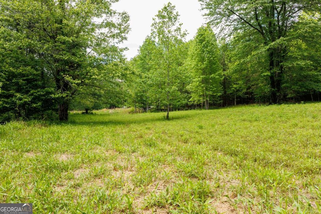 Photo of 0 Galloway Road, Blue Ridge, GA 30513 (MLS # 10761097)