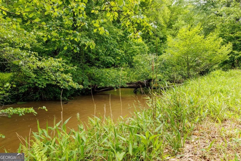 Photo of 0 Galloway Road, Blue Ridge, GA 30513 (MLS # 10761097)