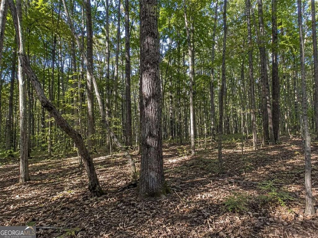 Photo of 26 Waldrip Road, Dawsonville, GA 30534 (MLS # 10799778)