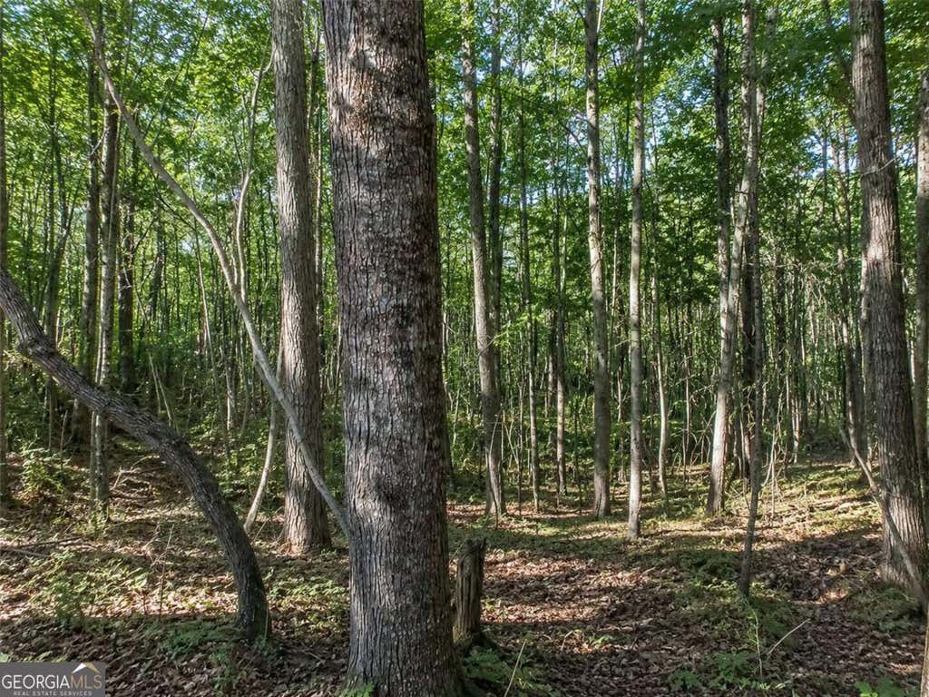Photo of 26 Waldrip Road, Dawsonville, GA 30534 (MLS # 10799778)