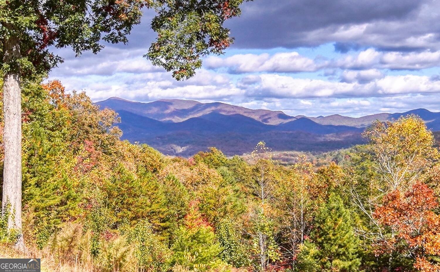 170 High Vista