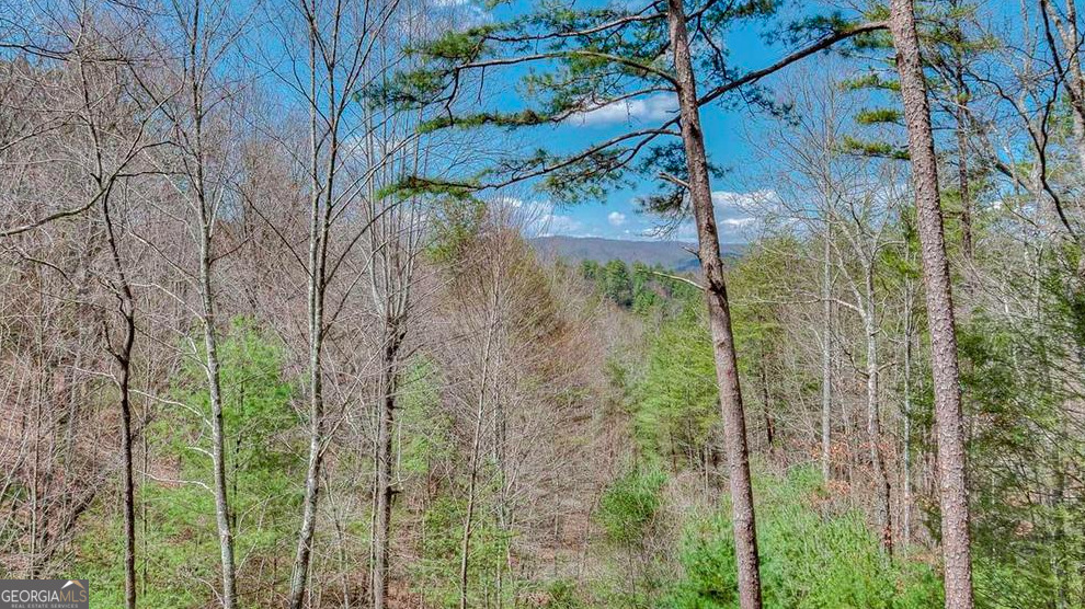 175 White Tail Ridge RD