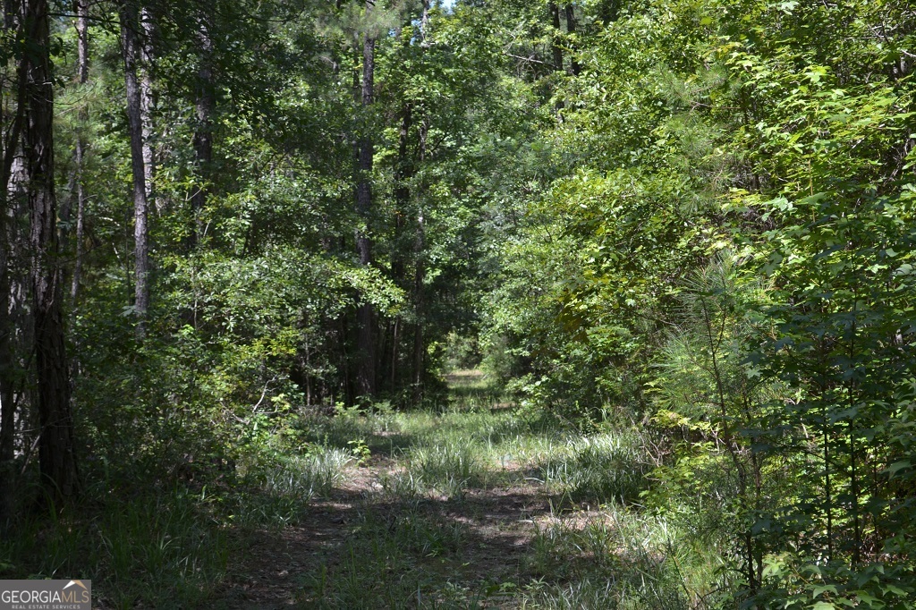 0 Marion-Ripley RD