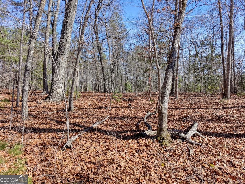 Photo of 40 Lola Mae Way, Morganton, GA 30560 (MLS # 10697638)