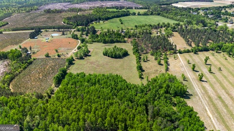 Photo of 0 Perkins Greenfork Road, Millen, GA 30442 (MLS # 10835564)