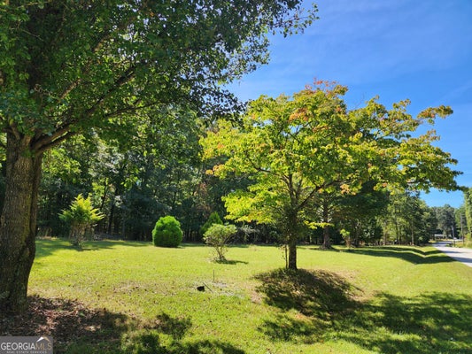 37 MAGGIE LN, BLAIRSVILLE, GA 30512 - Image 7487d6cd0067b9555e0a8a6c1cfae94d/1914613434