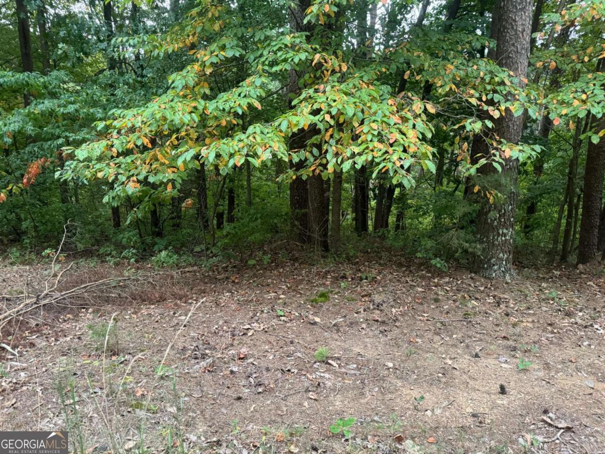 1.47 Gentle Acres on a very private road in Talking Rock Creek! You can build a slab home on this one! Close to the Apple Road Gate with Owens Lake right near your Lot. Go fishing, or just enjoy the views of all of the wildlife that are always around! Come see what we have to offer you! Build a getaway home, or live full time in a wonderful community! So much for you to enjoy here, including hanging out by Talking Rock Creek in the Common area of the at the creek. You are sure to love living close to shopping, wineries, apple orchards, great restaurants, Carters Lake, and so much more!