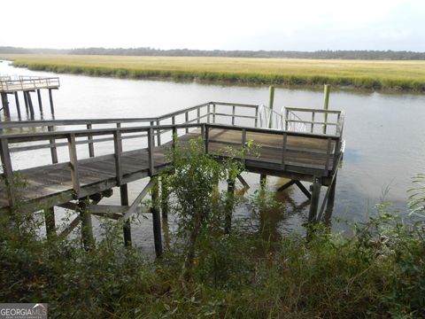 0 Julienton DR 77 Townsend GA 31331