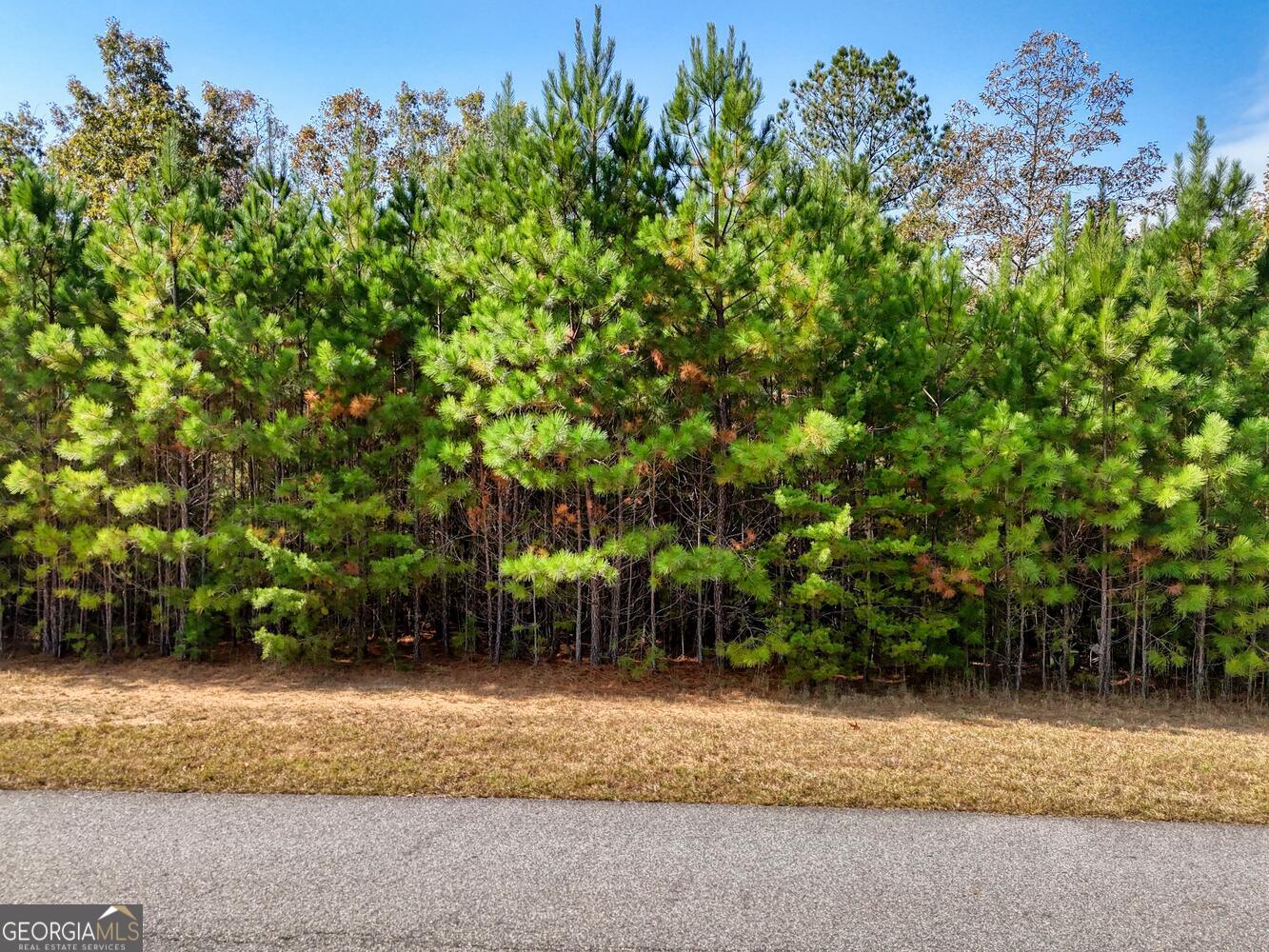 LOT 42 Northshore