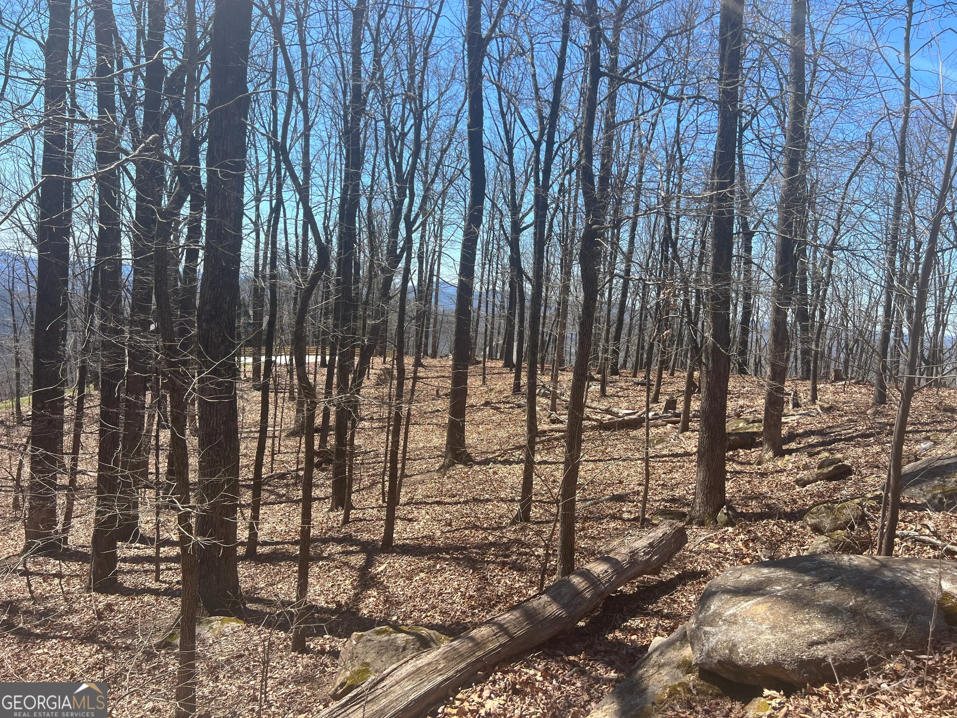 58 Mountainside Drive