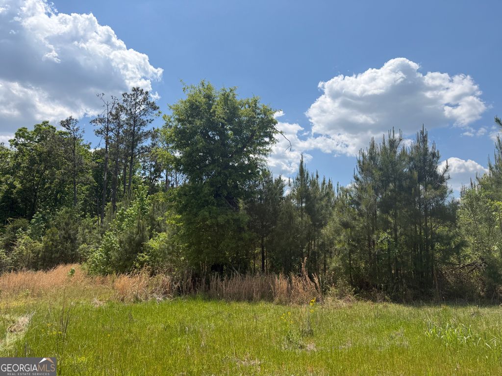 Photo of 14 George Milling Rd, Cuthbert, GA 39840 (MLS # 10738172)