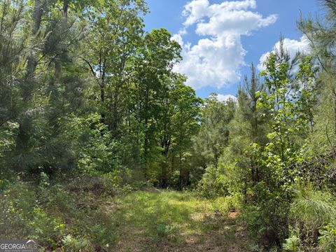 Photo of 14 George Milling Rd, Cuthbert, GA 39840 (MLS # 10738172)
